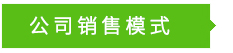 銷售模式 銷售模式