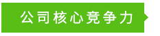 核心競爭力 核心競爭力