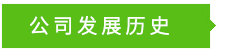 公司發展歷史 公司發展歷史